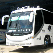 Bus 40 Pasajeros