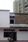 Palonegro 27